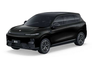 Leapmotor B10 - Metallic Black